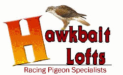 Link to Hawkbait Lofts