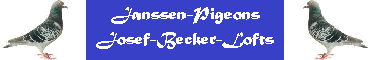 Link to Janssen-Pigeons 